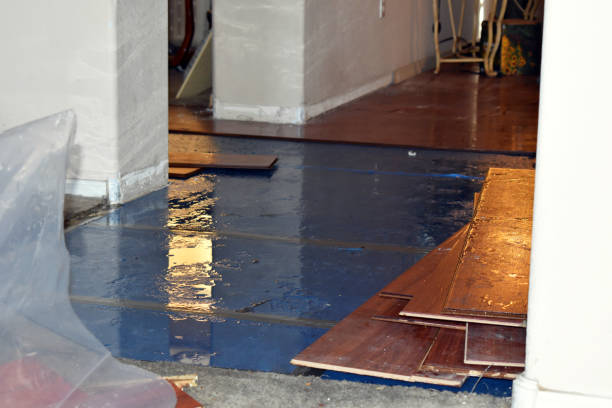 Professional Burst Pipe Cleanup technician working in Bethalto, IL